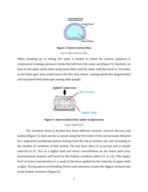 Intervertebral Disk Replacement - Keivan Anbarani's Electronic ...