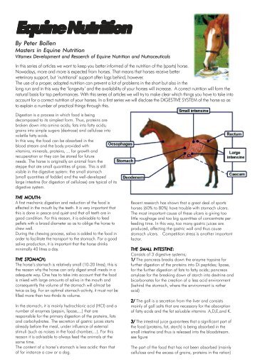 Equine Nutrition By Peter Bollen - Horse Times