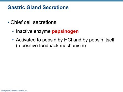 The Digestive System: Part B - Next2Eden