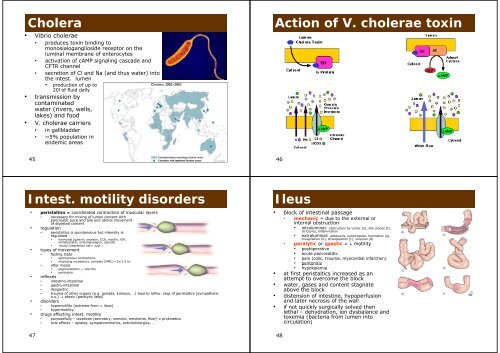 Pathophysiology of GIT I