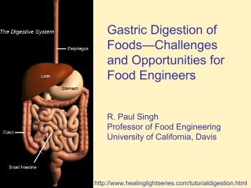 Gastric Digestion of Foods—Challenges and Opportunities for Food ...