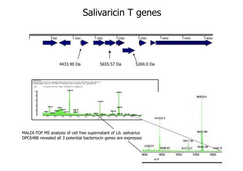 Production of Bioactives by Intestinal bacteria: