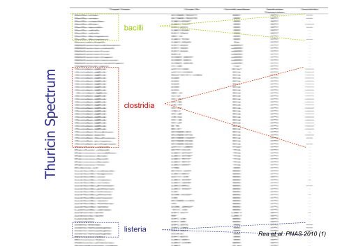 Production of Bioactives by Intestinal bacteria: