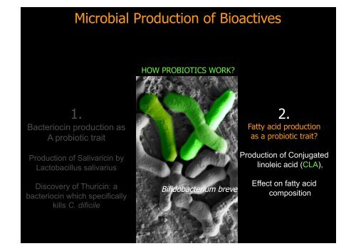 Production of Bioactives by Intestinal bacteria: