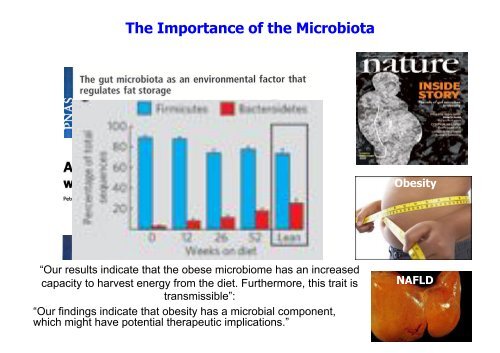 Production of Bioactives by Intestinal bacteria: