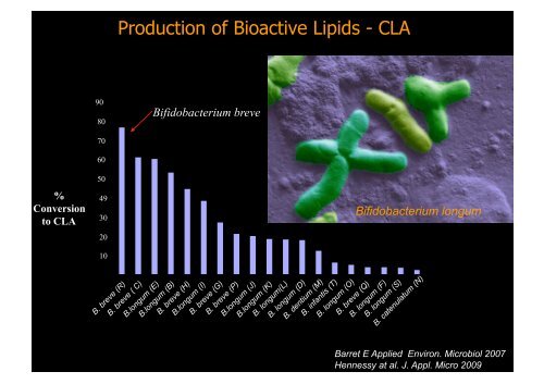 Production of Bioactives by Intestinal bacteria: