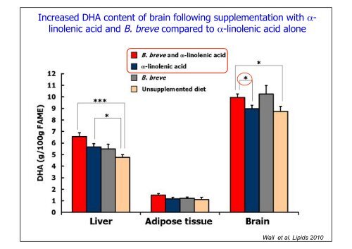 Production of Bioactives by Intestinal bacteria: