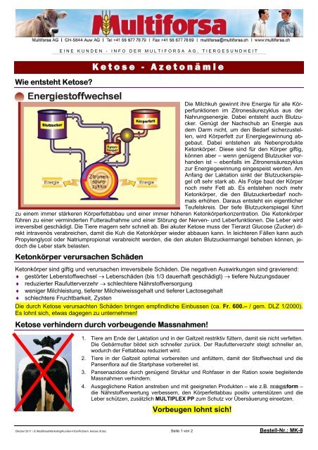 megaform NT - Multiforsa