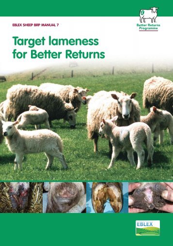 Target Lameness for Better Returns - Eblex