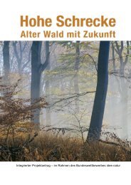 Nach dem Militär kommt der Wald - Stadt Wiehe