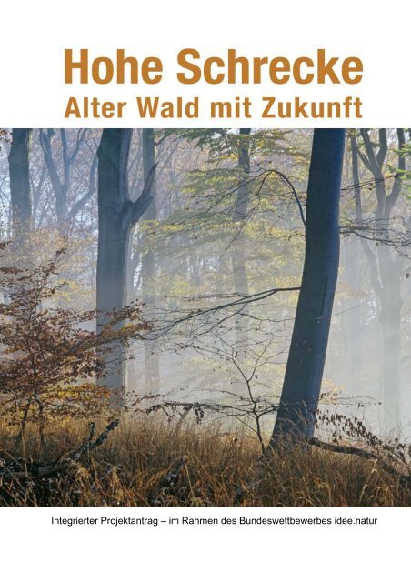 Nach dem Militär kommt der Wald - Stadt Wiehe