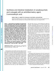 Synthesis and intestinal metabolism of ursodeoxycholic acid ...