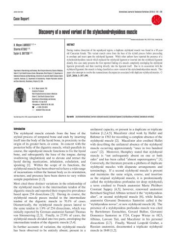 Discovery of a novel variant of the stylochondrohyoideus muscle