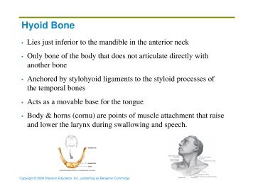 Hyoid Bone