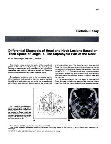 Pictorial essay