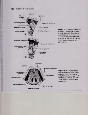 views of the larynx