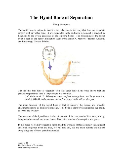 hyoid bone is unique because