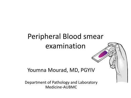 Interpreting Blood Smears - Department Of Internal Medicine