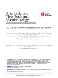 CX3CR1 Deficiency Confers Protection From Intimal Hyperplasia ...