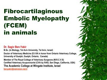 Fibrocartilaginous Embolic Myelopathy (FCEM) in animals