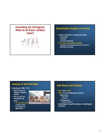 Quantitative Red Blood Cell Indicies