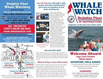 WHALE WATCH - Dolphin Fleet