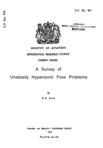 A Survey of Unsteady Hypersonic Flow Problems
