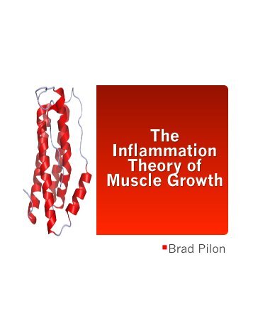 Brad Pilon - Inflammation Theory