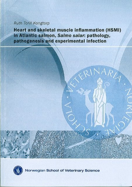 Heart and skeletal muscle inflammation (HSMI) in Atlantic salmon