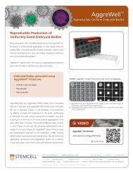 AggreWell™: Reproducible, Uniform Embryoid Bodies - Stemcell ...