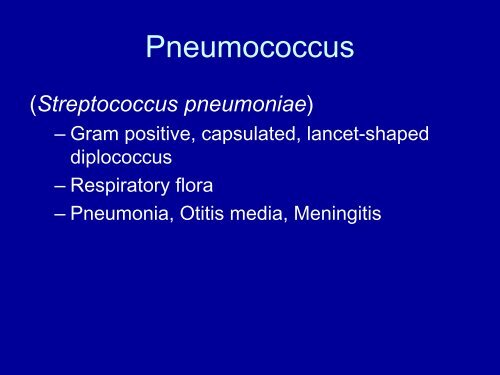 Diseases of the Lung and Respiratory Tract Part