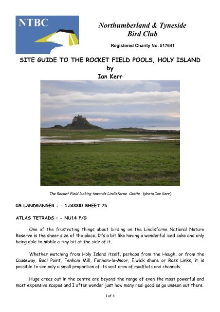 the rocket field pools, holy island - The Northumberland and ...