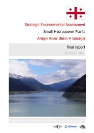 Strategic Environmental Assessment Small Hydropower Plants ...