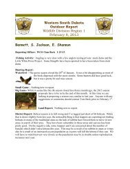 Western South Dakota Outdoor Report Wildlife Division Region 1 ...