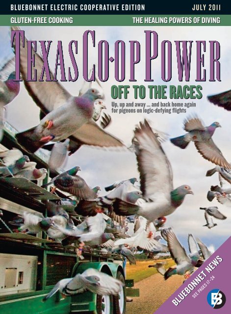 OFF TO THE RACES - Bluebonnet Electric Cooperative