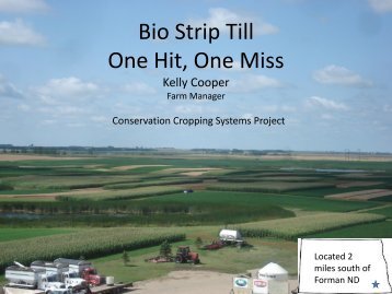 Bio Strip Till One Hit, One Miss