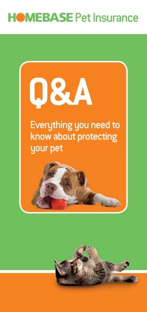 Everything you need to know about protecting your pet - Homebase