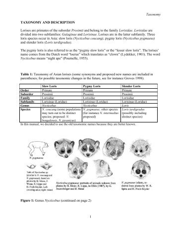 Taxonomy - Loris-Conservation.org