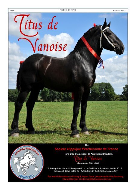 to view the newsletter - Percheron Horse Breeders Association of ...