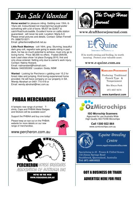 to view the newsletter - Percheron Horse Breeders Association of ...