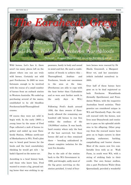 to view the newsletter - Percheron Horse Breeders Association of ...