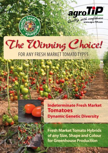Indeterminate Fresh Market Tomatoes Dynamic ... - agro-TIP Handels