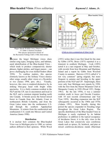 Blue-headed Vireo - Michigan Bird Atlas > Home