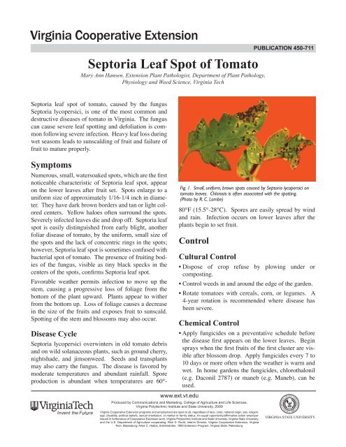 Septoria Leaf Spot of Tomato - Virginia Tech