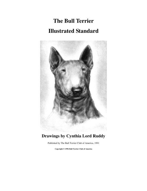 Bull sales terrier standard