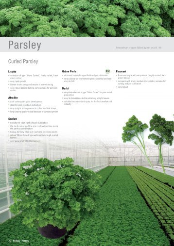 Parsley - HILD samen GmbH