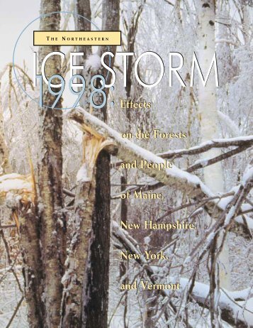 The Northeastern Ice Storm 1998 - New York State Department of ...
