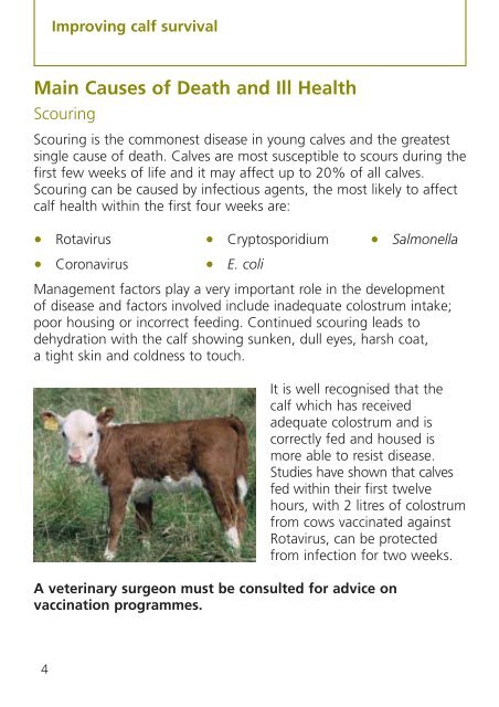 Improving calf survival - Defra