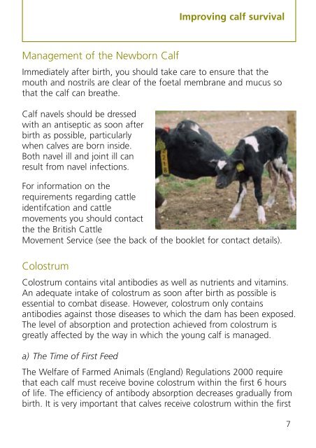 Improving calf survival - Defra