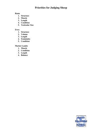 Priorities for Judging Sheep - The Judging Connection .com